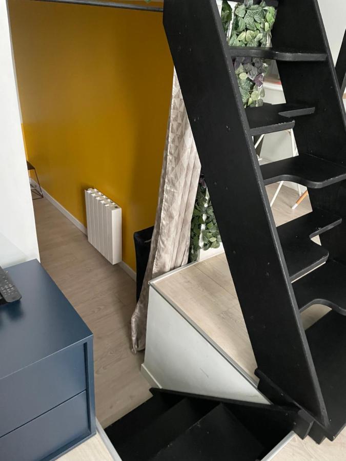 Le Berlier 60M2 + Cour Privee - Centre Historique Lejlighed Dijon Eksteriør billede